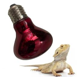 Lâmpada de aquecimento para répteis anfíbios, luz UV, dia e noite, répteis, plantas e animais de estimação, 25W, 50W, 75W, 100W, CA 220-240V - Image 6