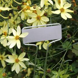 Estaca jardim resistente à corrosão reutilizável, à prova de ferrugem, Plant Labeling Stand, Plantas manuscritas Tags, Wide Range, 4 ", 6", 8 ", 10" - Image 1