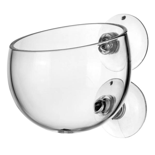 Vaso Cilindro de Vidro para Aquários com Plantas, Sementes e Musgo Decorativo