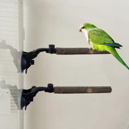 Wooden Parrot Perch Stand com ventosas para aves pequenas e médias, Evitar deslizamento, Interactive Window Perch - Image 1