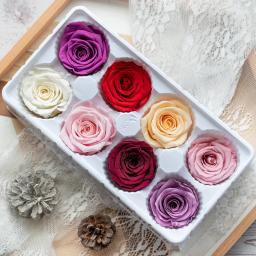 Secas Preservadas Fresh Rose Flower Heads, Teddy Bear, Handmade, DIY, Arranjo De Flores Eternas, Presente, 4-5cm, 8Pcs por Caixa - Image 1