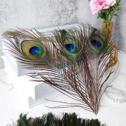 Penas naturais do pavão para arranjos florais DIY, pena real, decoração da mesa do casamento, decoração do vaso, 30pcs - Image 2