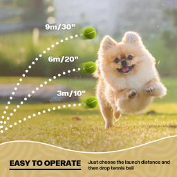 Lançador de jogo interno automático com bolas de tênis, Ball Launcher para cães, Brinquedos interativos, Tudo para patas - Image 3