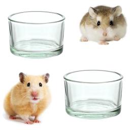 Vidro Transparente Hamster Comida e Água Prato, Alimentador de Pequenos Animais, Pet Shop - Image 1