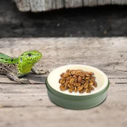 Anfíbios Répteis Alimentador, Pote De Água De Alimentos De Plástico, Pet Tigela De Alimentação, Prato De Rastejador, Sapo De Caranguejo - Image 6