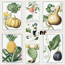 Vintage Fine Art Print, Cartaz de flores e vegetais, Impressões em Tela, Cozinha Home Wall Art Decor, Sala de Jantar Decoração Estética, Retro - Image 1