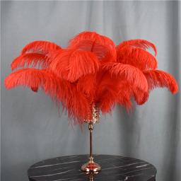 Decoração de Penas de Avestruz Vermelho, Penas Grandes para Artesanato, Top de Carnaval, Feriado, Acessórios para Casamento, Decoração, 15-70cm, - Image 1