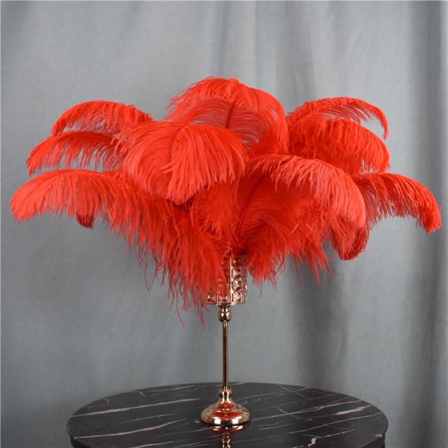 Penas de Avestruz Vermelho Grandes para Decoração e Artesanato - Acessórios Ideais para Carnaval, Feriados e Casamentos (15-70cm)