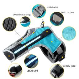 LED Luminous Light Up Dog Harness, Colete com alça torácica para cães grandes, Segurança reflexiva, Coleiras ao ar livre, Acessórios para animais de estimação - Image 5