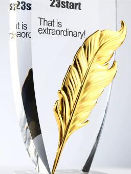 Troféu Criativo Personalizado, Troféu De Cristal De Alto Grau, Prêmio De Equipe De Empresa, Pin Da Coroa, Novo, Personalizado - Image 3