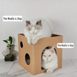 Caixa de papelão para gatos, Arranhando a garra, Jogo do gatinho, Brinquedo do risco, Casa do gato, Afiando a garra - Image 3