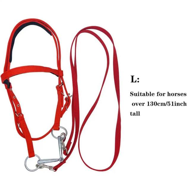 Lanffle Brida de Cavalo Ajustável Snaffle Noseband Nylon Forrado 1 Unidade