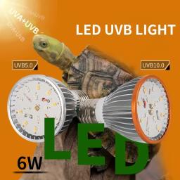 Réptil UV Lâmpada LED, Tartaruga, Lagarto, Serpente, Réptil, Serpente, UVA, UVB, Terrário Luz, 5.0, 10.0, Lâmpada - Image 3