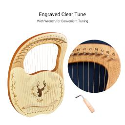 19-string de madeira lira harpa caixa de ressonância instrumento de corda com chave de ajuste 3pcs picaretas adesivo conjunto extra de cordas instrumento - Image 2