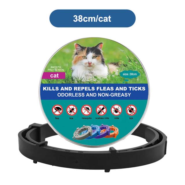 Coleira Ajustável Anti-Pulgas para Cães e Gatos - Proteção Eficaz por 8 Meses para Pets de Grande Porte