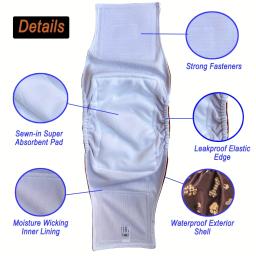 Fralda masculina lavável para cães, bonito desenho animado pata impressão padrão, pet calças fisiológicas, fralda reutilizável, barriga banda Wrap fraldas para cães, 2pcs - Image 4
