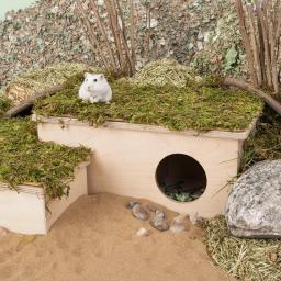 Natural Moss Mat Hamster Cage, Moss Terrace, Paisagismo Suprimentos, Pequenos Acessórios Pet, Tapete Multi-room - Image 5