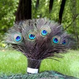 Penas de pavão para casa e hotel, artesanato, decoração, casamento, bricolage, jóias, acessórios, 25-30cm, 10pcs - Image 5