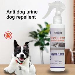 Treinamento Corector Spray para cães, perfume atraente, ajuda a treinar filhotes e animais, suprimentos de interior - Image 3