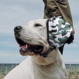 Pet Dog Earmuffs Anti-ruído ajustável Headband Multifunções Head-desgastado Proteção Auditiva Suprimentos - Image 1