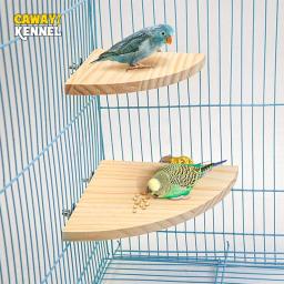 Suporte de madeira em forma de ventilador para gaiola, Acessórios para papagaios, Perch para animais pequenos Chinchilla Squirrel Hamster, Stand Board - Image 1