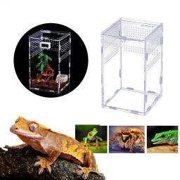 Caixa de reprodução de répteis acrílicos, terrário transparente, inseto, aranha, lagarto, escorpião, gaiola de alimentação, arbóreo - Image 4