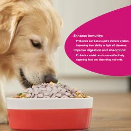 Suplementos Probióticos para Animais de Estimação, Cães e Gatos, Regular a Flora Intestinal, Aumentar a Imunidade, 180 Comprimidos - Image 5