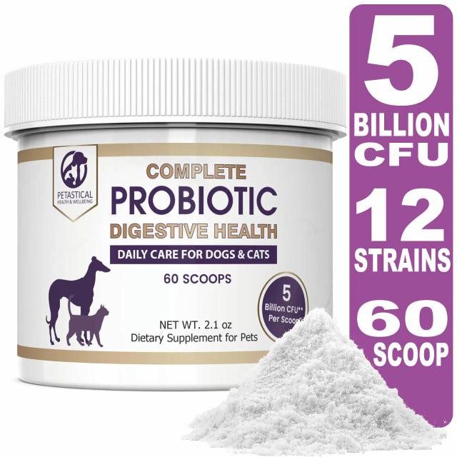 Probiótico Completo para Saúde Digestiva de Cães e Gatos - Pet Daily Care 2,1 oz