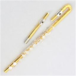 Profissional Alto Flauta Instrumento, banhado a ouro corpo, prata chapeado chaves, útil, venda quente - Image 1