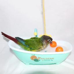 Banheira plástica azul automática para papagaio, periquito bonito, alimentador do pombo, acessórios da bacia do pássaro, material doméstico - Image 4