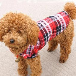 Camisa xadrez para cães pequenos, roupa de pet, colete para cachorrinhos e gatos, camiseta para gatos, casaco fofo para primavera e verão - Image 4