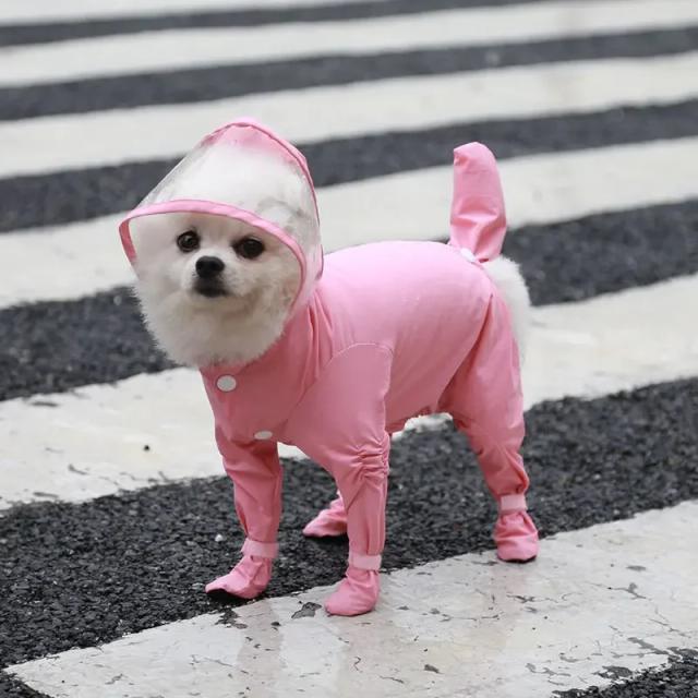 Macacão Impermeável para Cães e Gatos com Tudo Incluso: Moda Confortável e Estilosa em Dias de Chuva