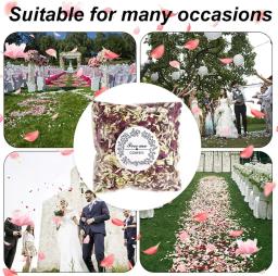 Pétalas de flores secas naturais, confete biodegradável, pétalas de rosa real para casamento e festa, 10 32 pacotes - Image 2