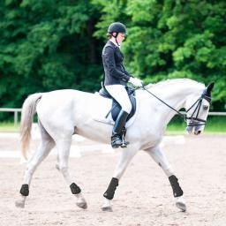 4 pçs botas de perna de cavalo ajustável frente traseira tendão da perna proteger equestre escudo do plutônio e neoprene de alta qualidade - Image 3
