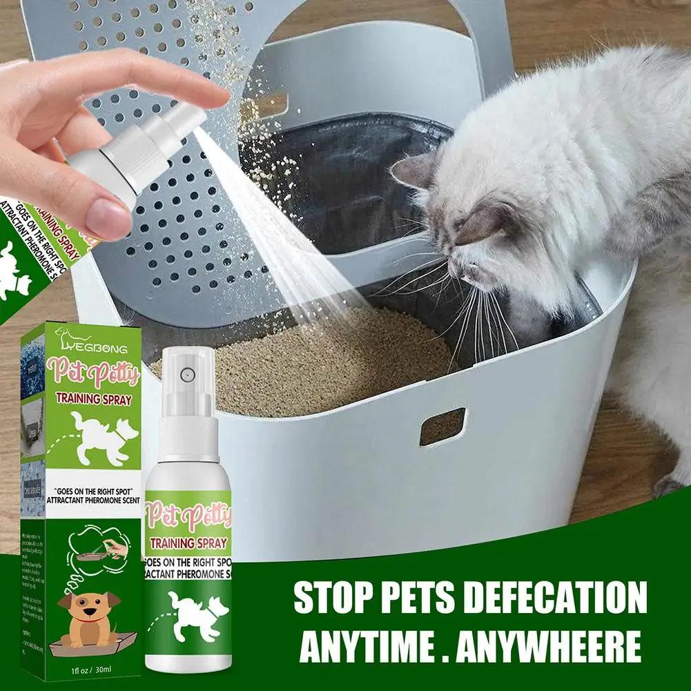 Pet Toilet Training Spray Inducer, Dog Poops, Cat Posicionamento Fezes, Localização, Puppy, Pet, Defecação, Ind M3F5, 30ml - Image 1