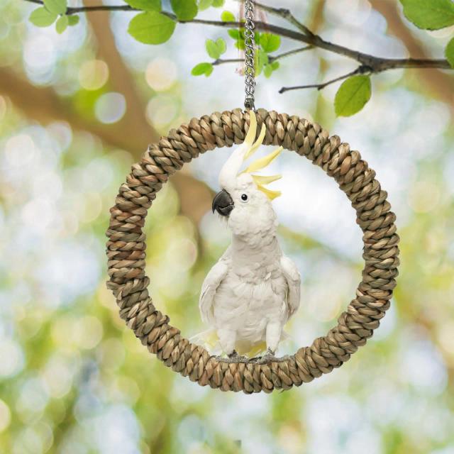 Brinquedo Decorativo de Escalada para Pássaros com Anéis e Rede de Corda para Periquitos