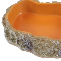 Réptil Água Tigelas Terrário Decorativo, Tigela De Alimentação De Resina para Sapo Tartaruga Tartaruga Leopardo Gecko - Image 5