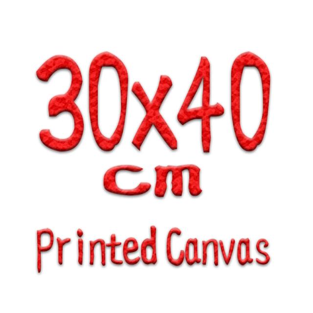 Kits de Bordado Personalizados Meian: DIY com Linha de Algodão em Lona Impressa para Decoração de Casa e Artesanato 11/14CT