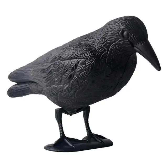 Chamariz Realista de Pombo em Plástico para Caça e Jardim - Black Scare