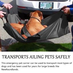 para animais estimação, cama transporte veterinário para animais estimação, cães, gatos, cama elevatória para cães - Image 3