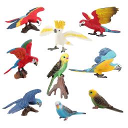 Estatueta de animais da floresta, guara, papagaio, cacatua, papagairo, pássaro, selva, estatuetas de animais, brinquedos de ação para crianças - Image 1