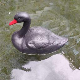 Plastic Swan Decoy, Caça Armadilha, Pest Garden, Defesa Deter, Pássaro Falso, Decoy - Image 5