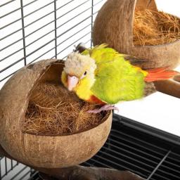 Ninho De Pássaro Natural De Casca De Coco, Parrot Hideaway Confortável e Periquito, Caixa de assentamento para pássaros do amor - Image 2