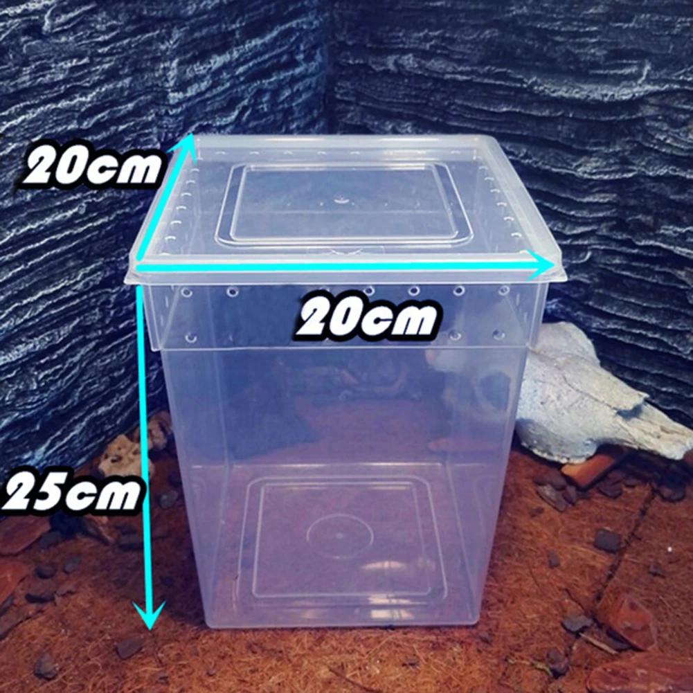 Reptile Feeding Box for Frog Spider e Gecko, Turtle Tank, Tarantula Enclosure, Lizard Container, Animais, Terrário, Container - Image 1