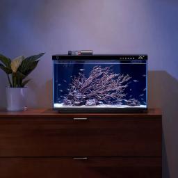 XIAOMI-MIJIA Tanque De Peixes Inteligente, App De Controle Remoto, Iluminação De Gama De Cores, Exibição De Temperatura Do Aquário, Quarto Com Vista Do Mar - Image 5