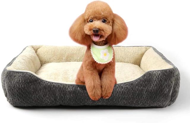 Cama Ortopédica Lavável para Cães e Gatos - Conforto a Preço Acessível