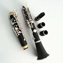 Clarinete Banhado A Niquelar C, 17 Teclas Clarinete, instrumentos Musicais, Fábrica - Image 2
