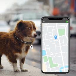 Pet Compatível com Bluetooth Inteligente Wearable Anti-Lost GPS Tracker, localizador à prova d'água, Rastreamento em tempo real, cão, Cat Collar, encontrar dispositivo - Image 4