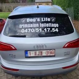 Diy personalizado carro janela traseira corpo publicidade adesivos texto personalidade padrão logotipo da empresa telefone anime personagens dos desenhos animados - Image 4