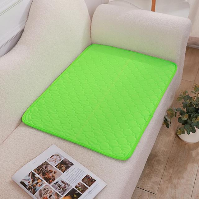 Capa Reutilizável para Treinamento de Cães: Fralda Absorvente, Almofada Lavável e Tapete de Urina para Pets